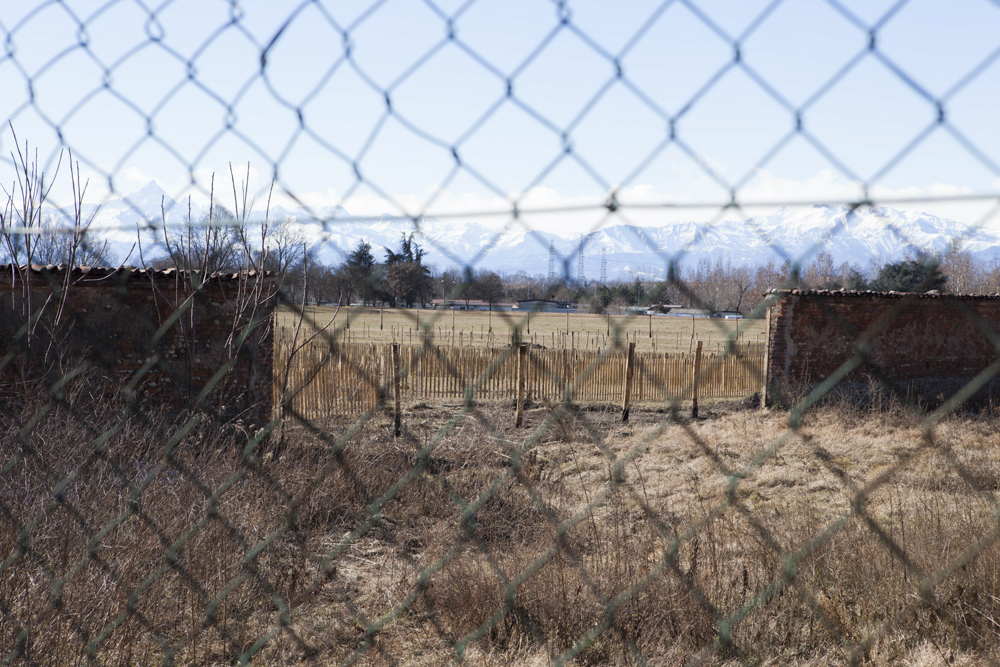 UMBERTOCOSTAMAGNA_PROJECTS_THEGARDEN01-1